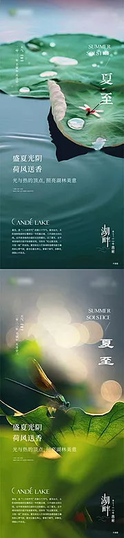 素材能量站-地产24节气夏至海报