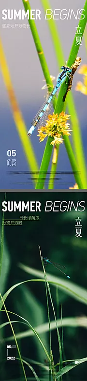 素材能量站-立夏夏节气系列海报