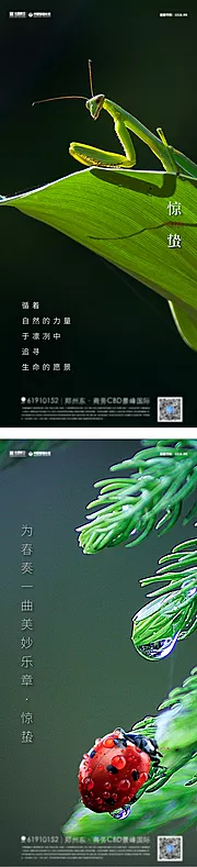 素材能量站-惊蛰节气系列海报