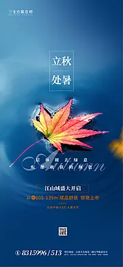 素材能量站-处暑立秋节气海报