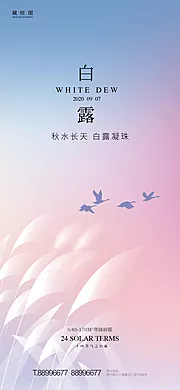 素材能量站-白露节气海报