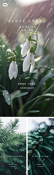 素材能量站-雨水谷雨清明白露寒露系列海报