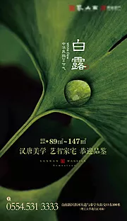 素材能量站-白露节气海报