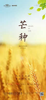 素材能量站-芒种节气微信海报