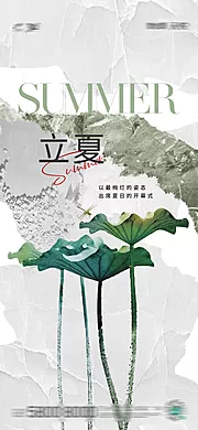 素材能量站-立夏夏至节气海报