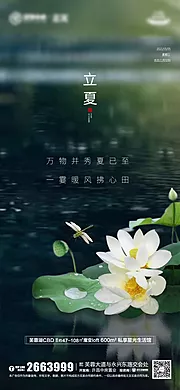 素材能量站-立夏