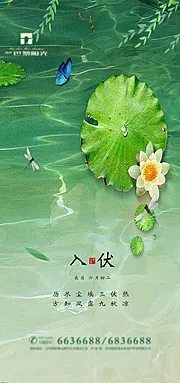 素材能量站-清爽初伏节气海报