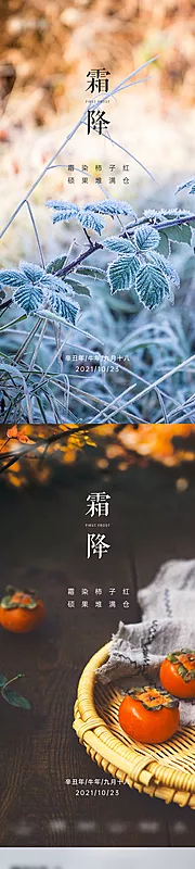 素材能量站-地产霜降节气系列海报