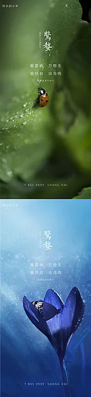 素材能量站-惊蛰节气海报