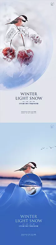 素材能量站-立冬小雪大雪冬至麻雀系列海报