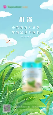 素材能量站-小满节气海报