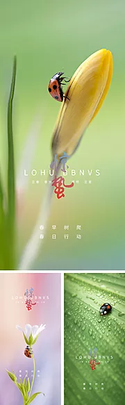 素材能量站-惊蛰立春春分清明立夏夏至微信海报