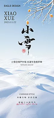 素材能量站-小雪医美24节气海报