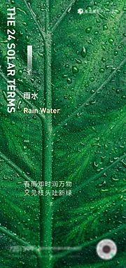 素材能量站-雨水节气春季海报