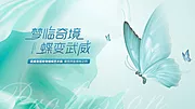 素材能量站-蝴蝶展