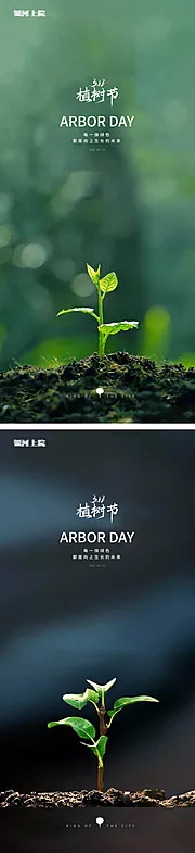 素材能量站-植树节创意树苗海报