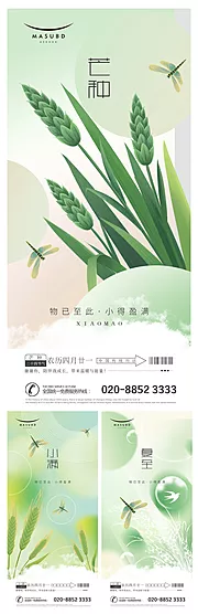 素材能量站-芒种小满夏至麦穗海报