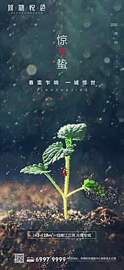 素材能量站-惊蛰节气移动端海报