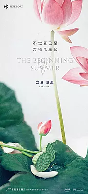 素材能量站-夏至海报