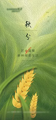 素材能量站-二十四节气秋分节气微信麦穗