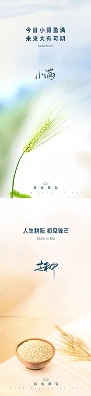 素材能量站-小满芒种