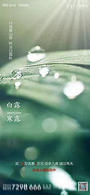 素材能量站-地产白露寒露节气海报