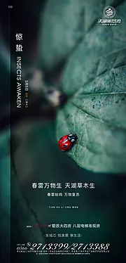 素材能量站-房地产惊蛰节气移动端海报