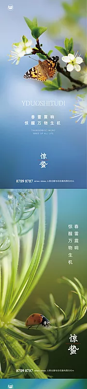 素材能量站-惊蛰节气海报