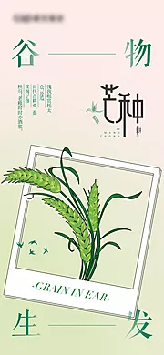 素材能量站-芒种节气海报