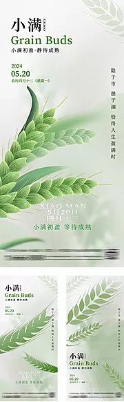 素材能量站-小满节气系列海报