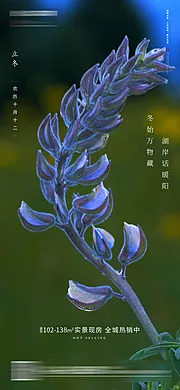 素材能量站-立冬节气微信海报