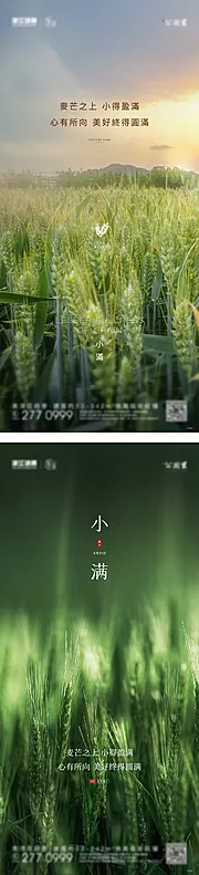 素材能量站-房地产二十四节气小满系列海报