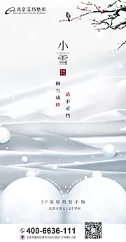 素材能量站-小雪医美节气创意海报