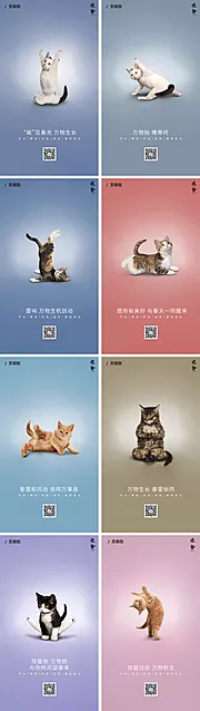 素材能量站-猫咪瑜伽惊蛰创意海报