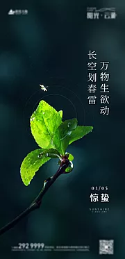 素材能量站-惊蛰节气海报