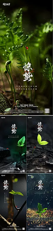 素材能量站-传统节气海报惊蛰