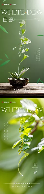 素材能量站-白露节气系列海报