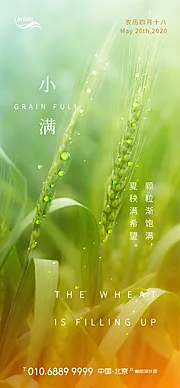 素材能量站-绿色希望小满节气海报