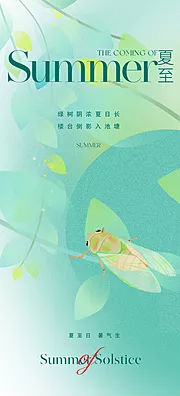 素材能量站-夏至节气海报