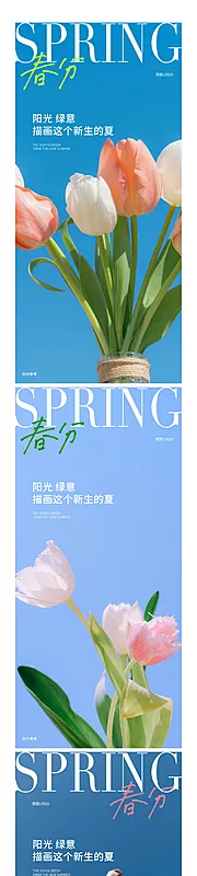 素材能量站-春分节气系列海报