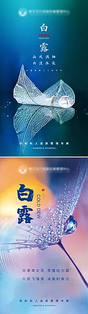 素材能量站-二十四节气白露海报