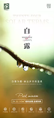 素材能量站-白露节气海报