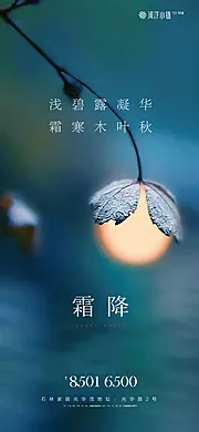 素材能量站-霜降海报