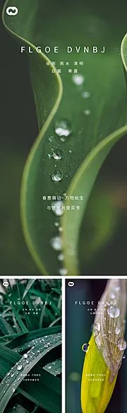 素材能量站-雨水谷雨清明白露寒露系列海报