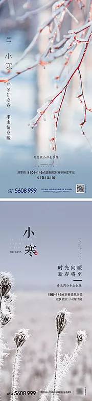 素材能量站-小寒节气节日单图