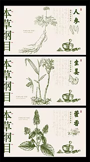 素材能量站-本草纲目中药展板2