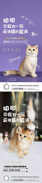 素材能量站-猫直播简约系列海报