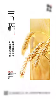 素材能量站-芒种节气海报