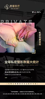 素材能量站-私密整形数据统计海报