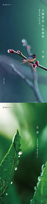 素材能量站-立春节气海报